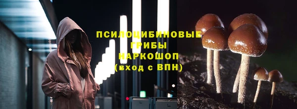 амф Покачи