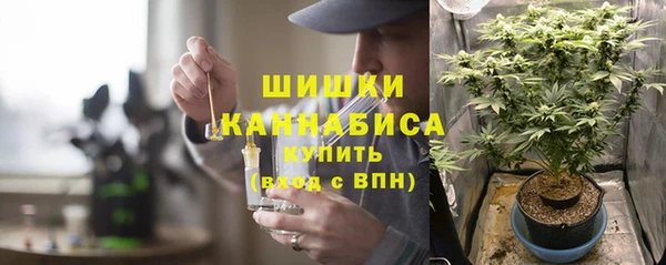 шишки Богданович