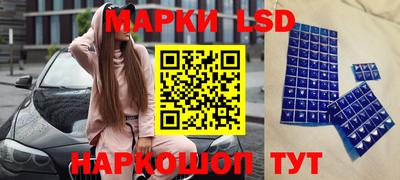 гидропоника Гагарин