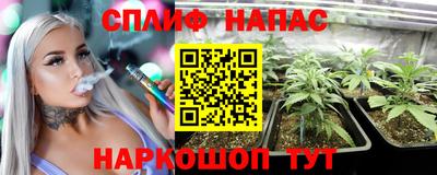 гидропоника Гагарин