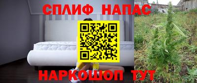 a pvp Гатчина