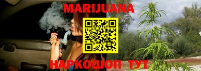 a pvp Гатчина