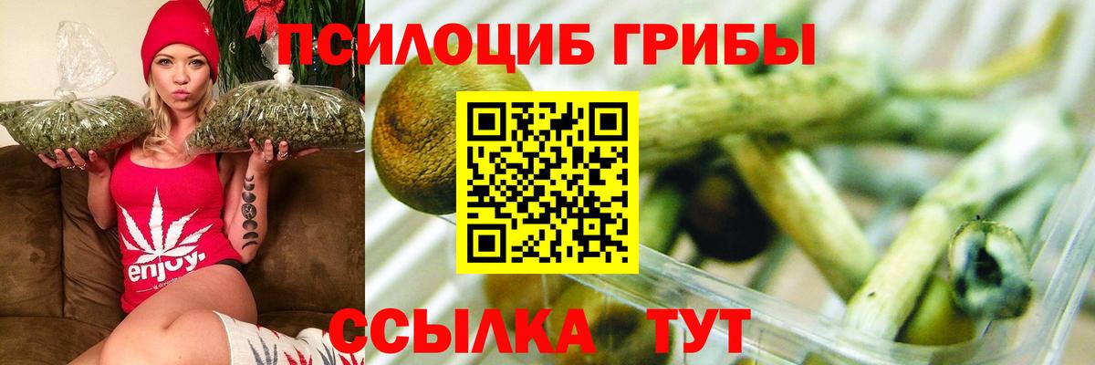 Галлюциногенные грибы мицелий  Галлюциногенные грибы Psilocybe  Губаха  Вход с VPN 